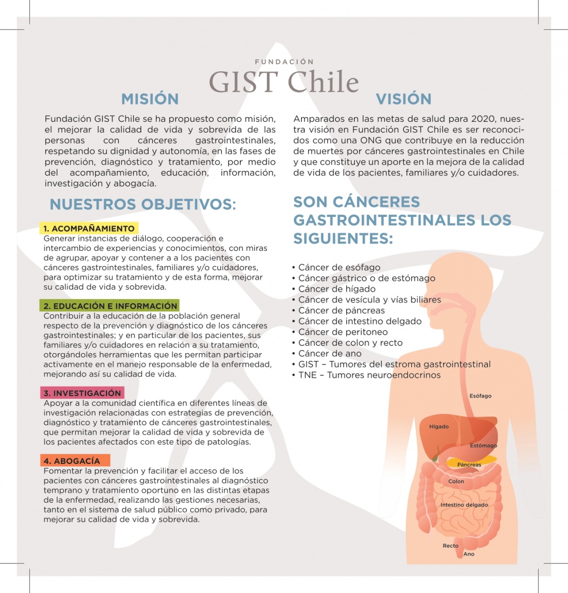 CANCERES_GASTROINTESTINALES_IMPRENTA_2.2-copy_pages-to-jpg-0002.jpg