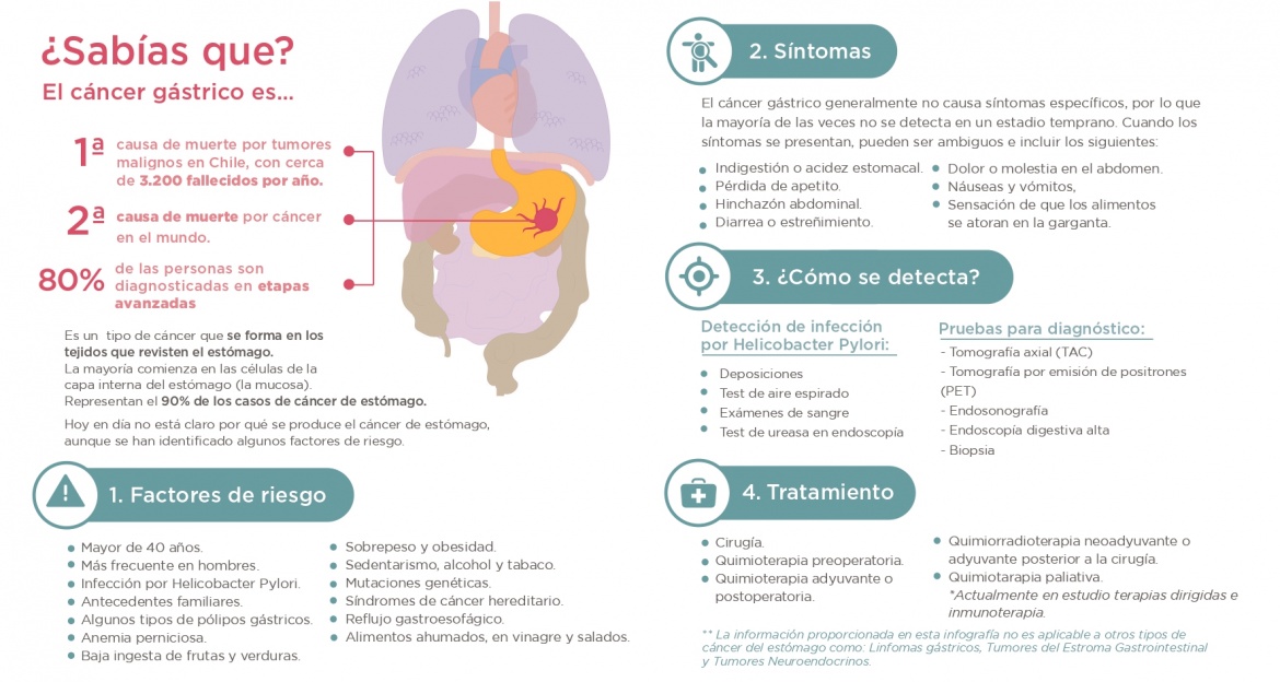Diptico_cancergastrico_WEB_page-0002.jpg
