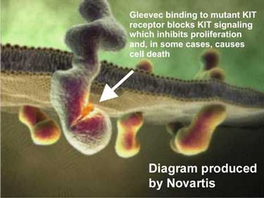 Novartis-kit-receptor.jpg